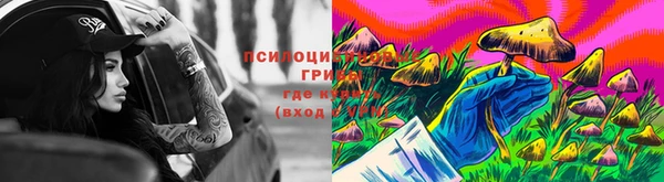 соль ск Вязники