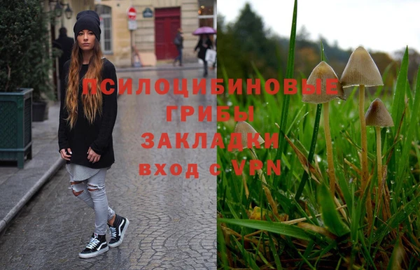 соль ск Вязники