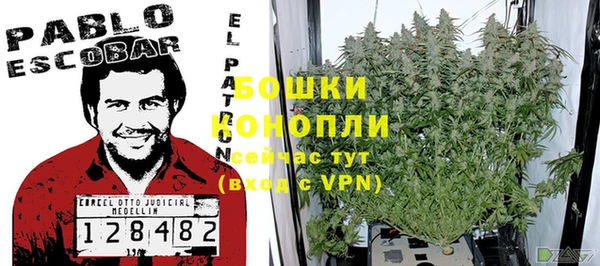 ALPHA PVP Вяземский