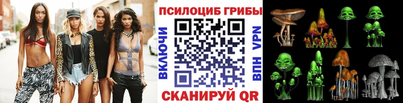 Галлюциногенные грибы мицелий  Купить  Кудрово 